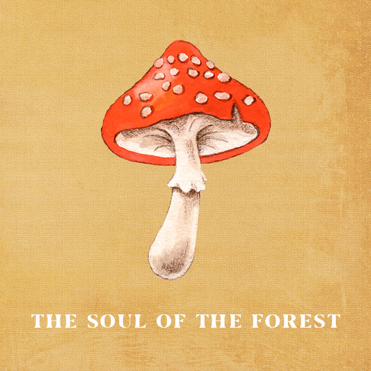 The Soul Of The Forest | Dixi Talent Scout Design