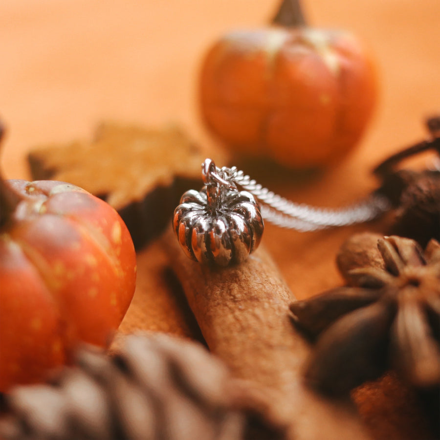 Silver Tone Autumn Lovers Jewellery Round 3d Pumpkin Necklace by Shop Dixi