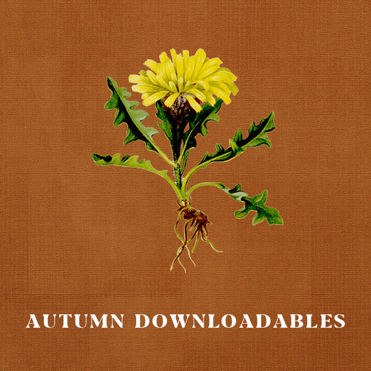 Free Autumn Downloadables