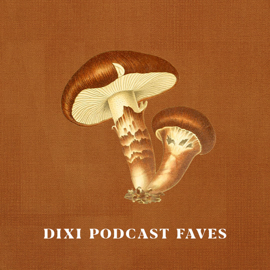 Dixi Office Favourite Podcasts