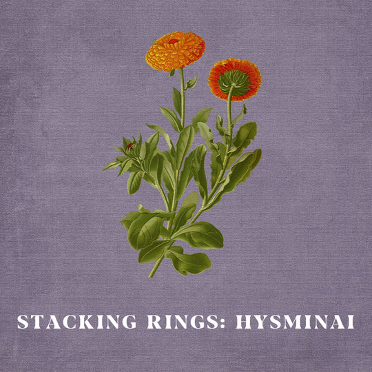 Stacking Rings 101 Hysminai Thorn Branch Rings