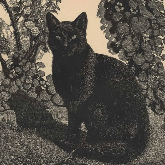 Felines Familiars in Mythology