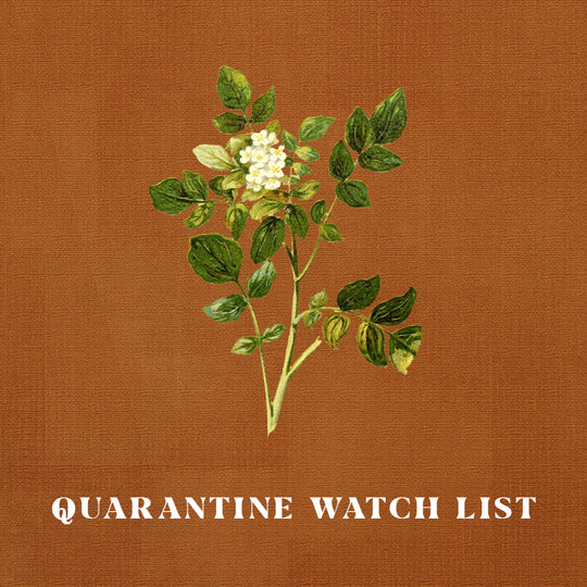 Vicky's Quarantine Watchlist