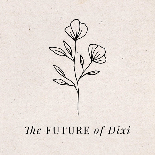 The Future Of Dixi