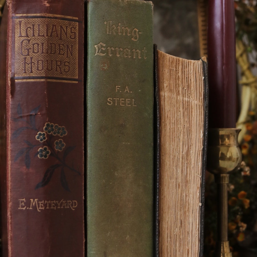 Antique | Dark Academia Book Bundle