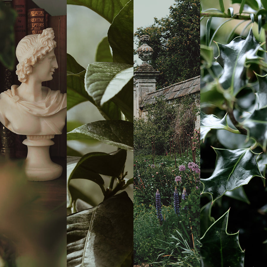 Forbidden Garden Set of 4 | Phone Screensaver
