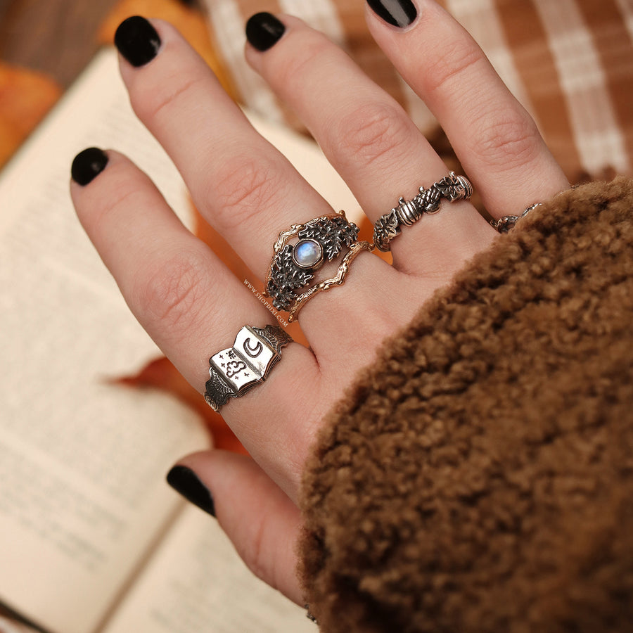 Shop Dixi Bookish Autumn Dark Academia Book Witch Fall Vibes Bookstagram Booktok Ring