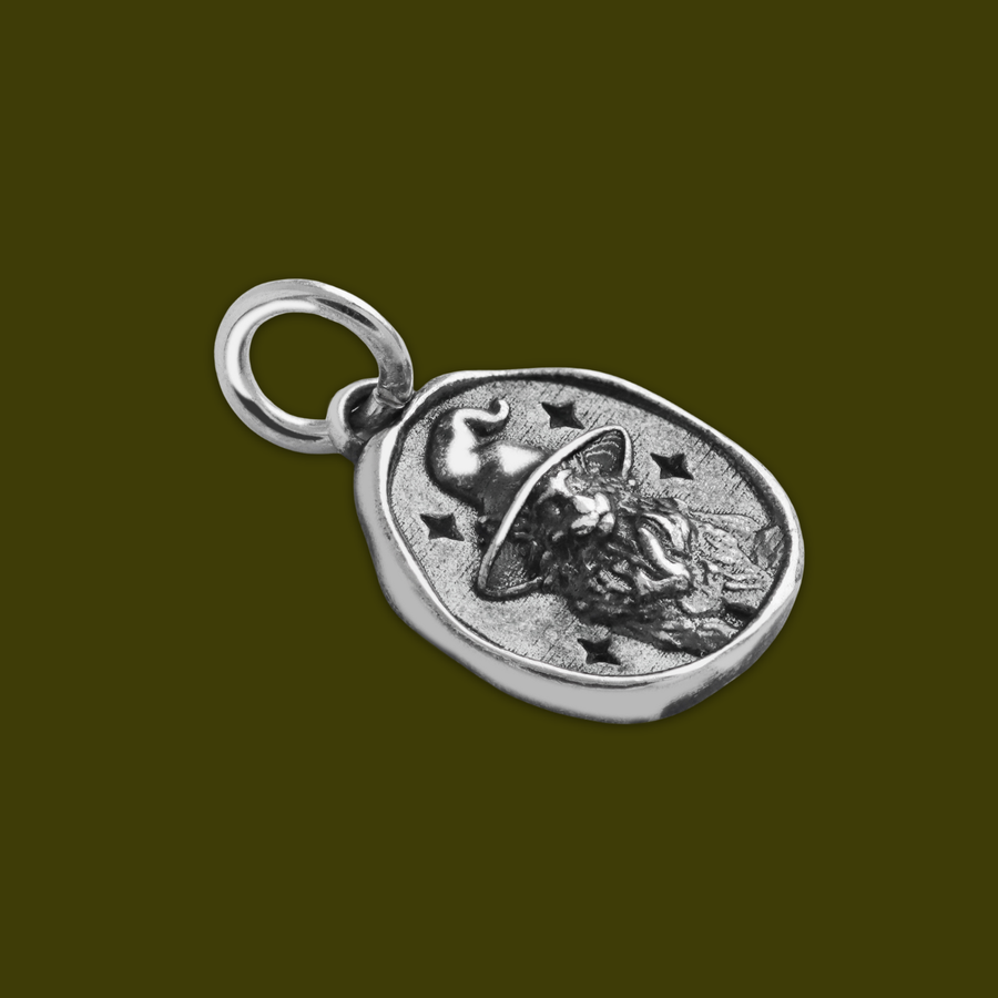 Shop Dixi Witchy Inspired Jewelry | Wax Seal Pendant